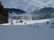 Beginners will feel at home here