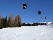 Easy slope Le Fassane