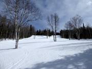 Easy to intermediate slope Des Bouleaux