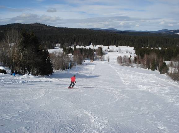 Easy Haidmuehle ski slope