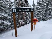 Open terrain for experts