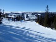 Easy slope Nybegynnerbakken