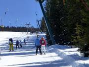 Weitmooslift - T-bar