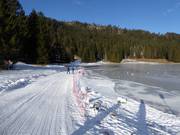 Ski trail Vivaio