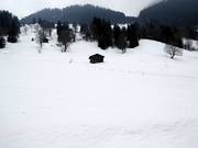 View of the easy slope in Saxeten