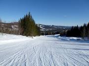 Intermediate slope no. 15