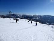 View from Medvědín over the Giant Mountains