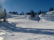 Wide slopes at Großsee