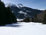 Valley run Schlappin