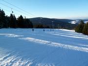 Predigtstuhl I (b) - T-bar