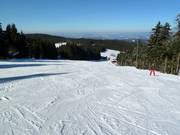 Hinterwies downhill run