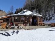 Mountain hut tip Pisten Pub