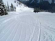 Groomed slope in the Castle Mountain ski area