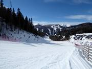 Slope No. 2 Kolašin 1600