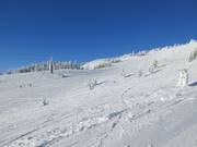 Descent Fall Line at West Bowl T-Bar