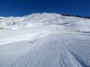 Practice slope Alp da Munt