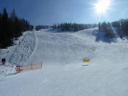 Hirschsprung run at the Kaiserburg