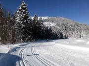 The cross-country trail runs along the mountain pass summit.