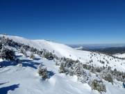 View from the Krčmar 6-person chairlift to the Pančićev vrh