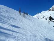 Freeride area at Zweitausender