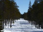 Cross-country trail in the ski resort of Idre Fjäll