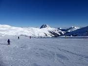 Easy slopes at the Ganzeralmlift