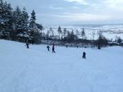 Well suited for beginners