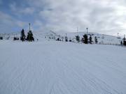 Easy slope at the Aurinkosompa platter lift