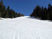 Slope Vrh Krvavca-Gradišče