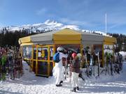 Umbrella Bar Grubigalm