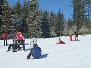 Fun for the whole family on the toboggan slope