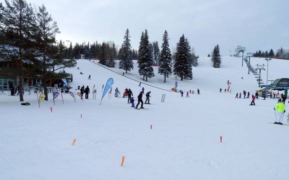 Skiing in the Edmonton Capital Region