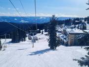 The gondola lift takes you up the mountain