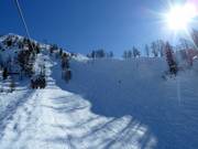 Mogul slope at Gartnerkofel