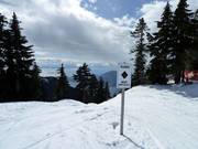 Glades – cleared forest runs for advanced skiers