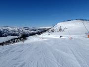 Slope Telemarken No. 22 (Geilohovda)