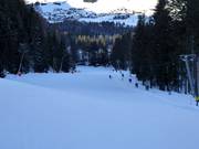 Easy slope near the valley at the St. Leonhardlift