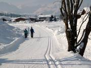 Cross-country trails in the Pillerseetal