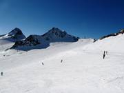 Wide and easy slopes at Tiefenbachferner