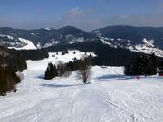 View of the slopes at the Schwinbach drag lift