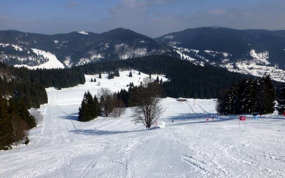 Highest ski resort in the County of Waldshut – ski resort Menzenschwand (St. Blasien) – Spießhorn