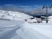 View of Kellaria 1950