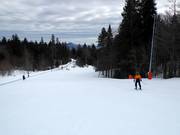 Easy slope at the drag lift in the valley area