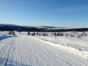 View from Lindvallen to Högfjellet