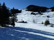 View of the Wildgunten run