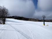 Central Street slope