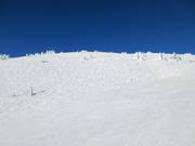 Mogul slopes below Top of the World