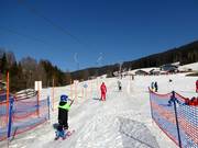 Eggschlepplift - J-bar