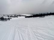 Descent Frognerbakken