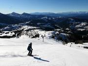 Slope No. 21 Laurin II